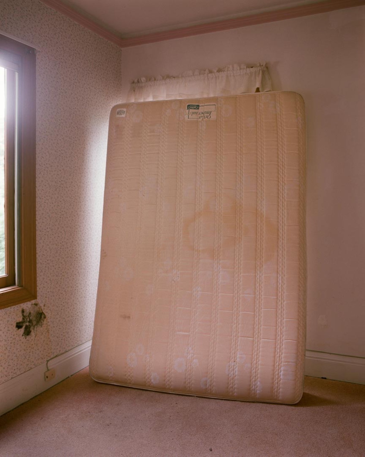 Todd Hido, 1637, 1996