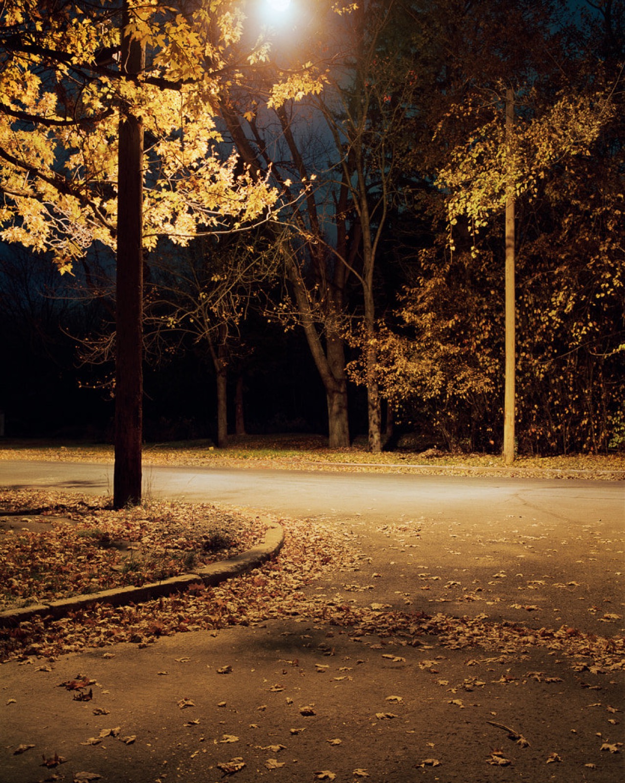 Todd Hido, 2314, 1999
