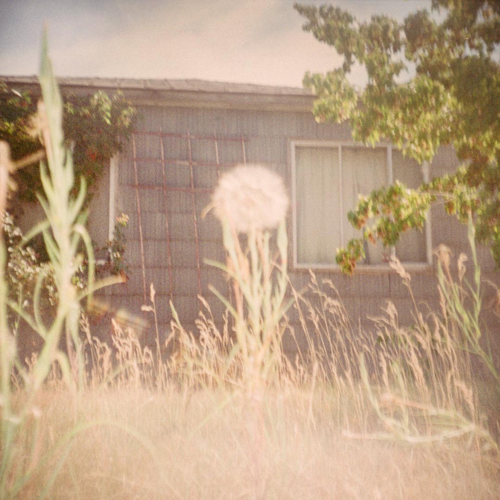 Todd Hido, 11554-b, 2014