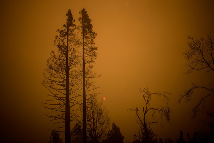 Todd Hido, 11836-8736, 2017