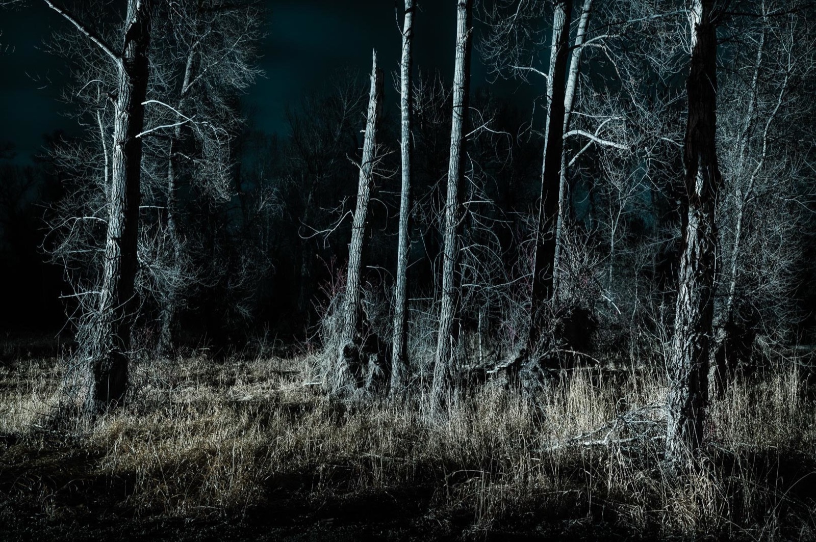 Todd Hido, 12187-295, 2024
