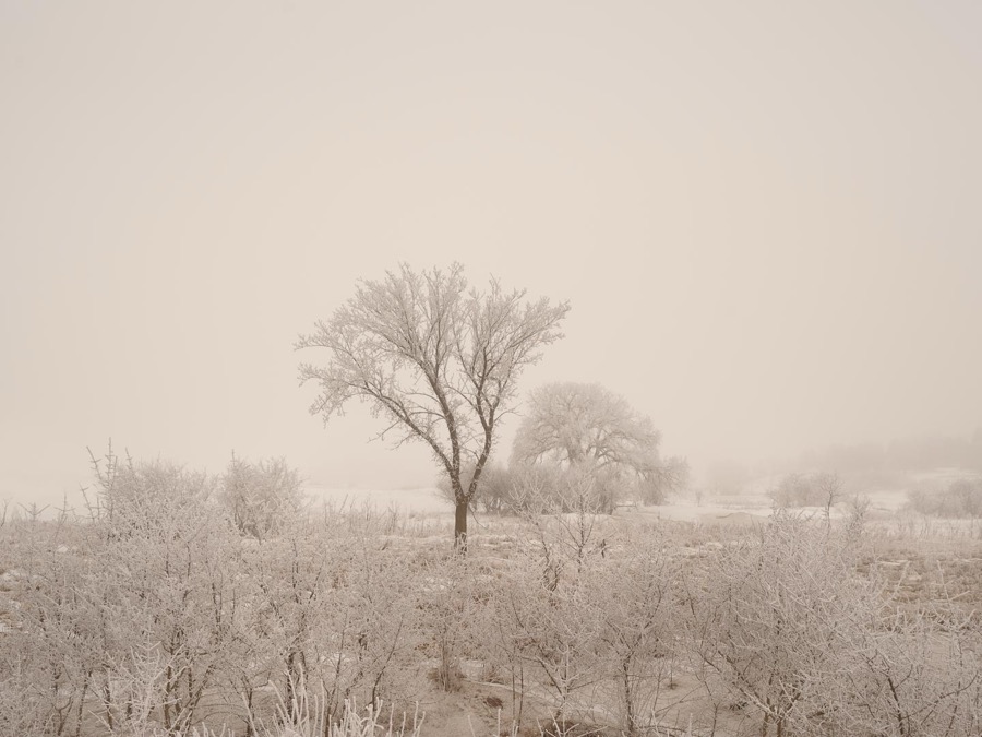 Todd Hido, 12006-6907, 2019