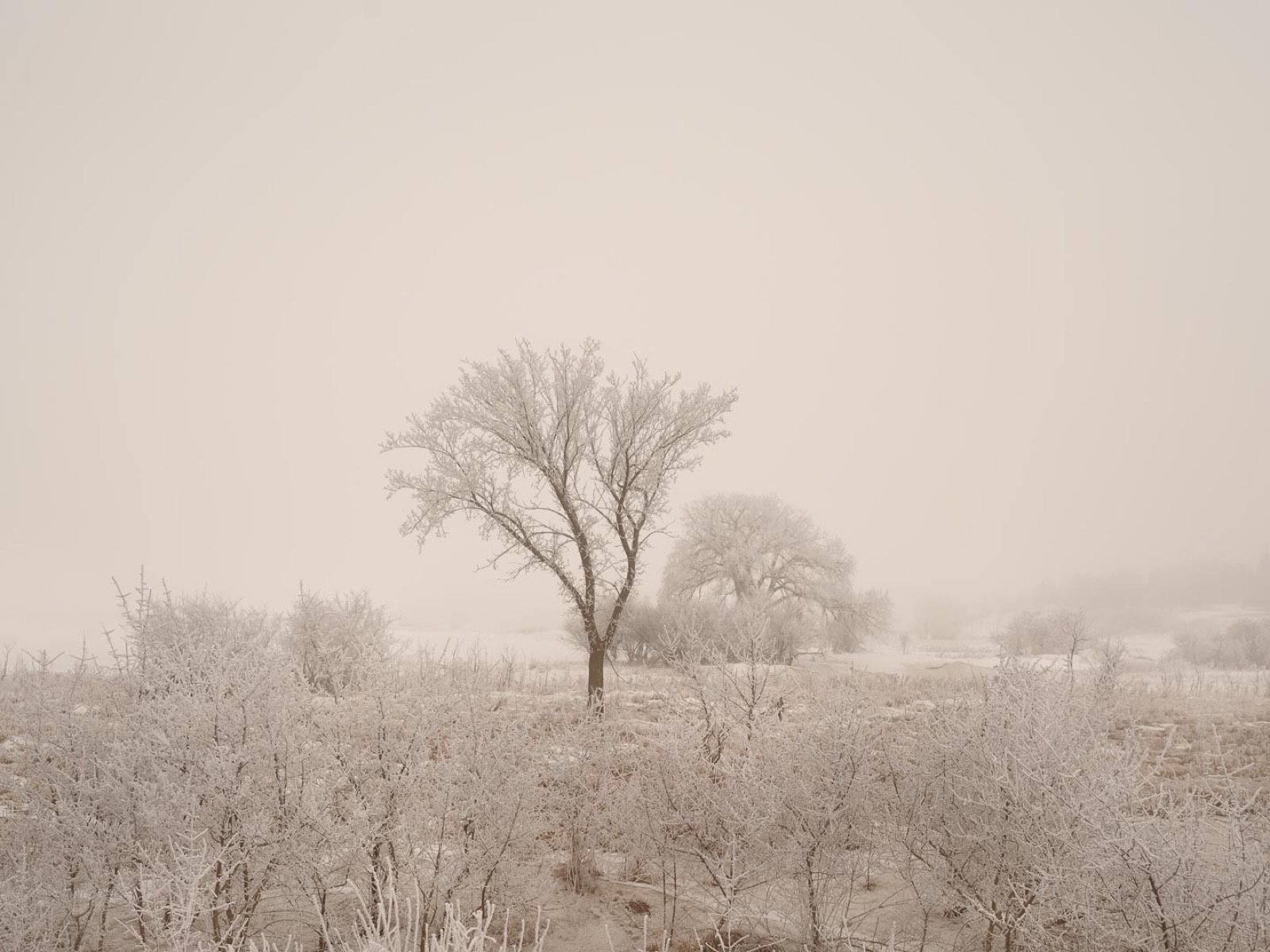 Todd Hido, 12006-6907, 2019