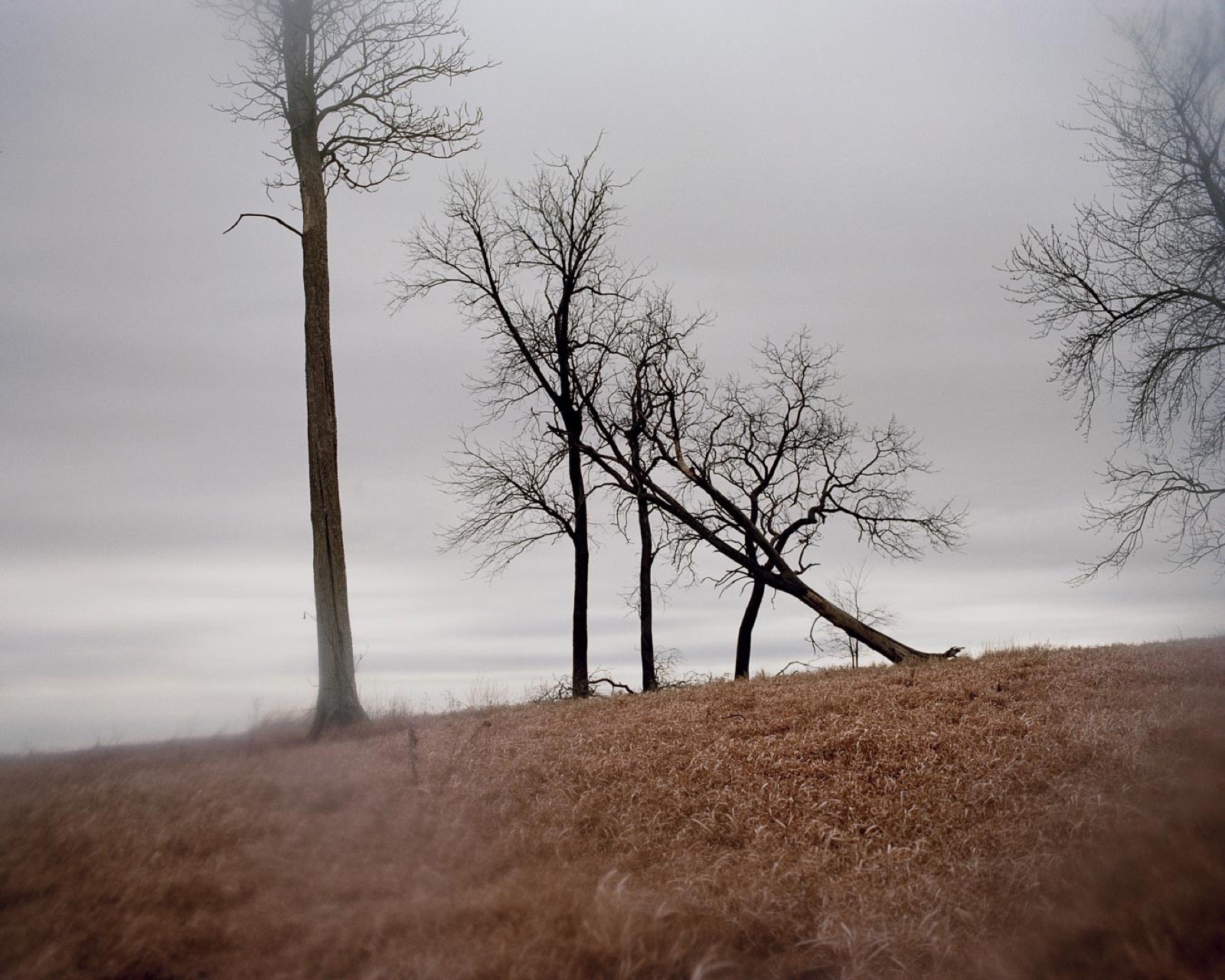 Todd Hido, 6349, 2007