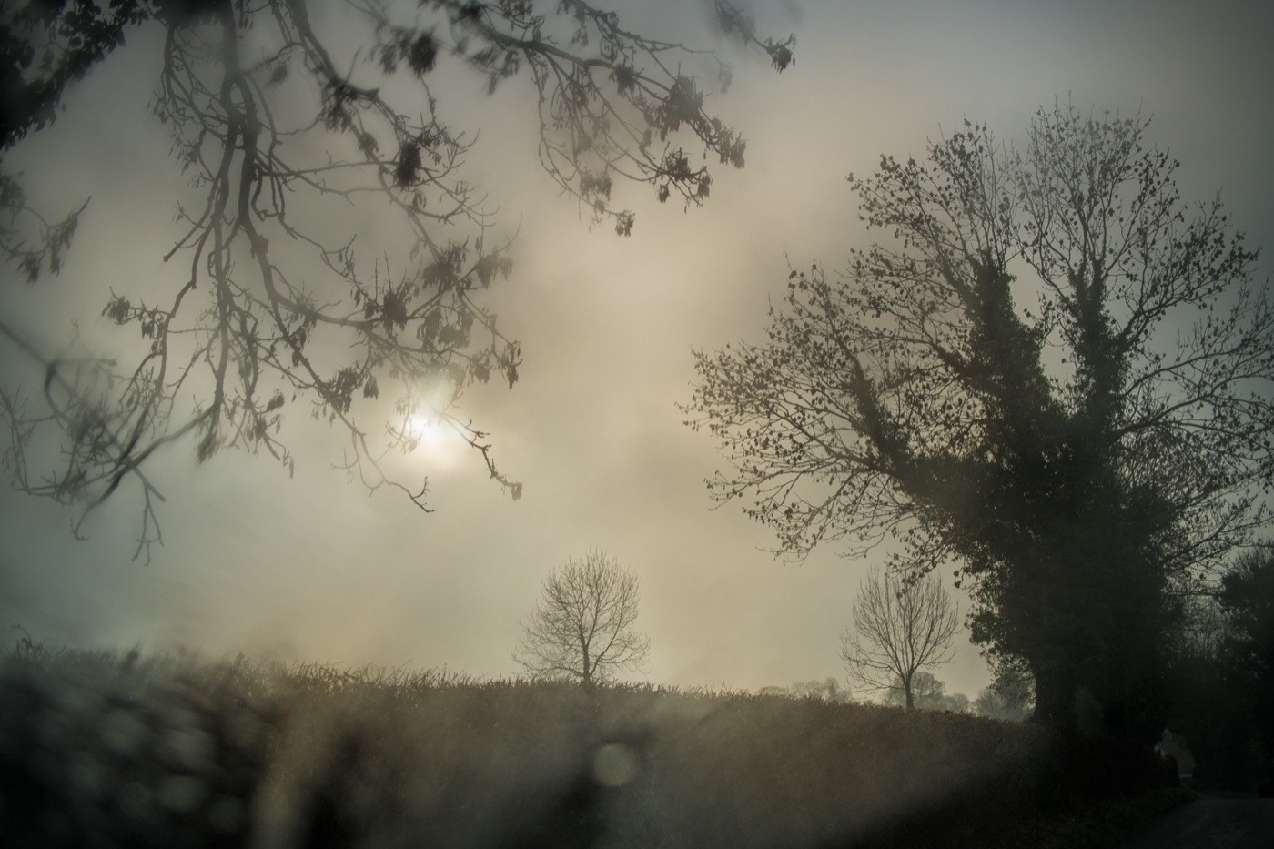 Todd Hido, 11927-6081, 2020