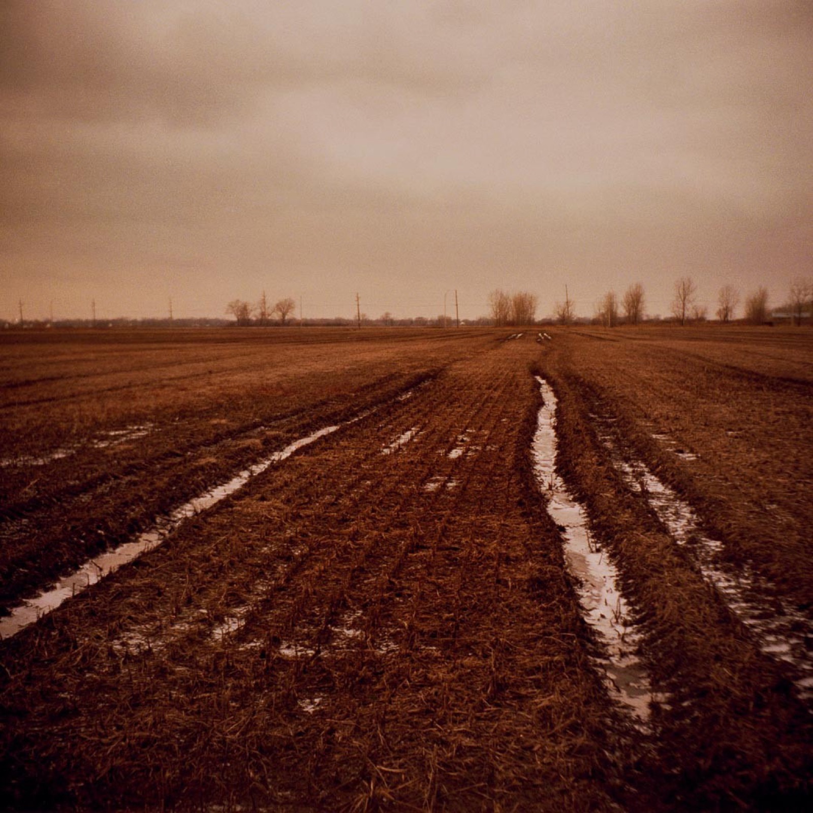 Todd Hido, 3101-a, 2002