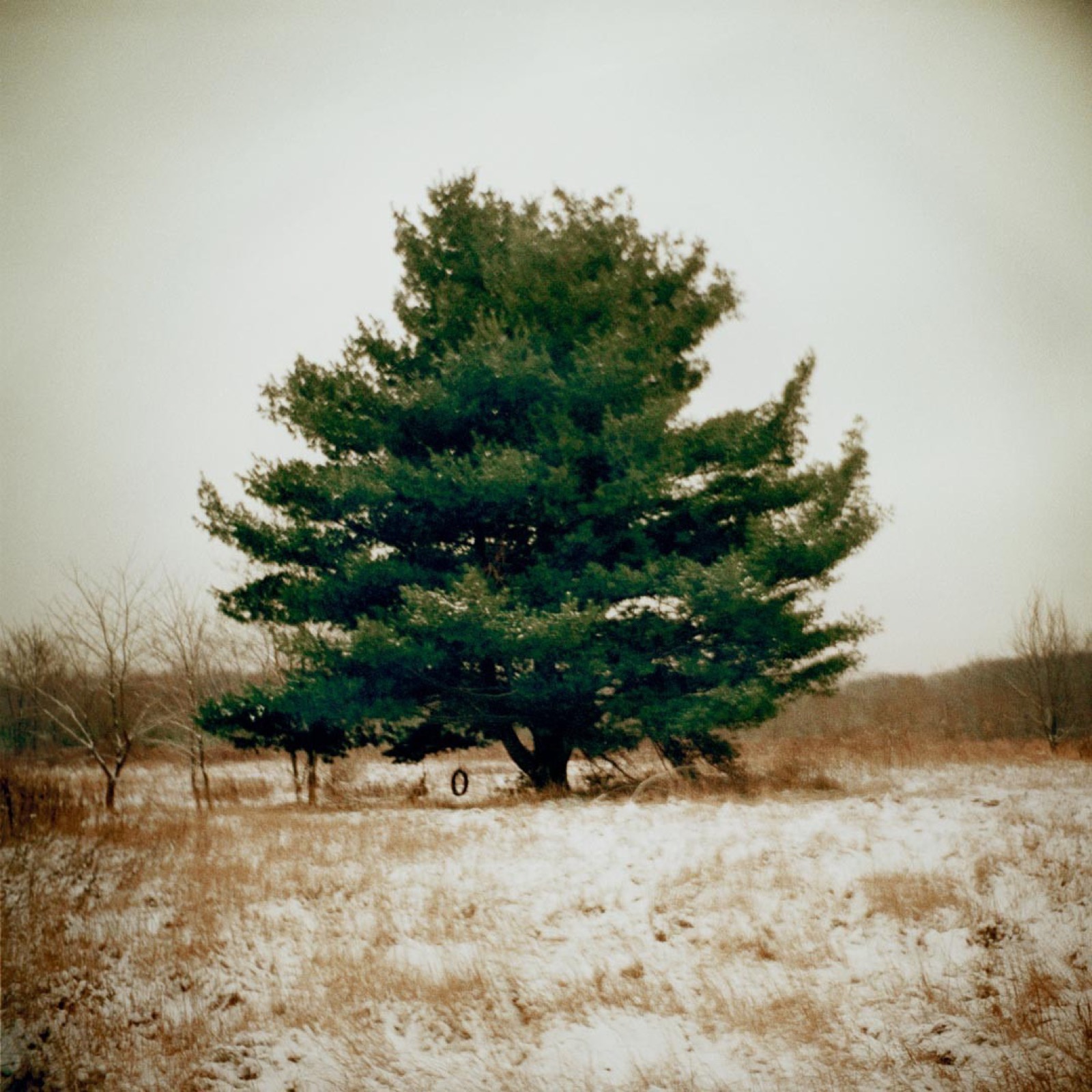 Todd Hido, 9238-a, 2010