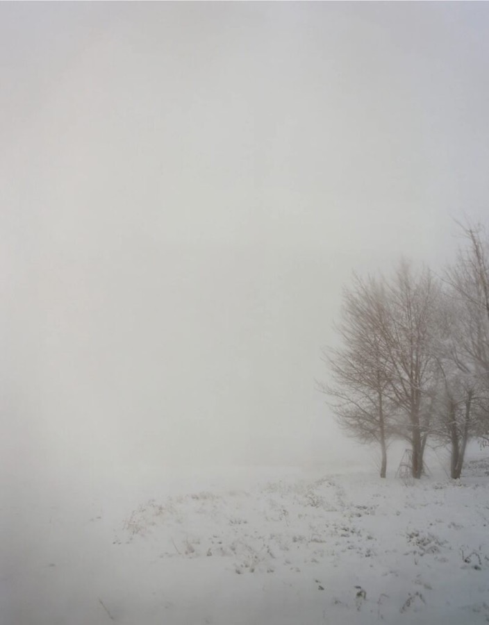 Todd Hido, 7412, 2008