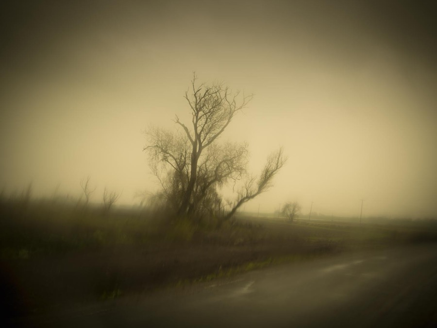Todd Hido, 11687-2651, 2016