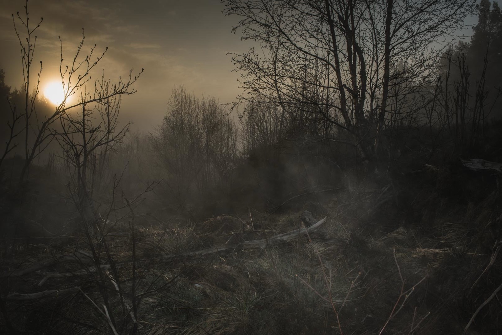 Todd Hido, 11798-4172, 2017