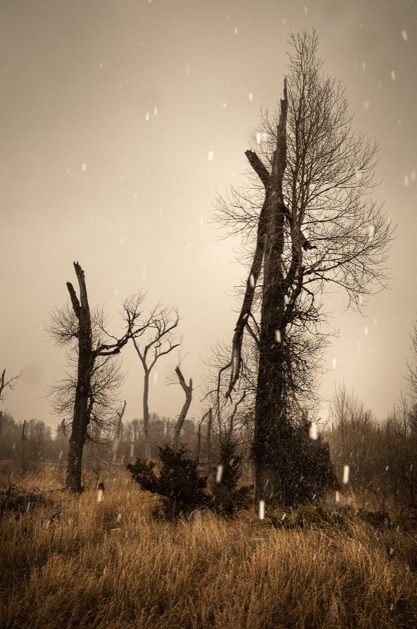Todd Hido, 12166-9601, 2023