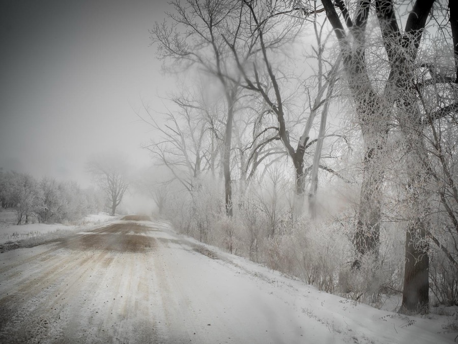Todd Hido, 12006-6969, 2019
