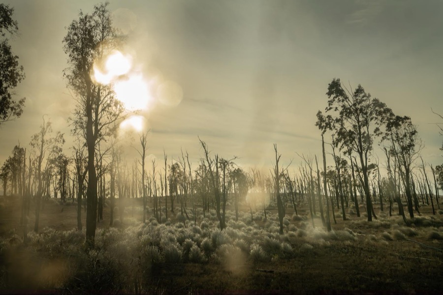 Todd Hido, 12127-1030731, 2022