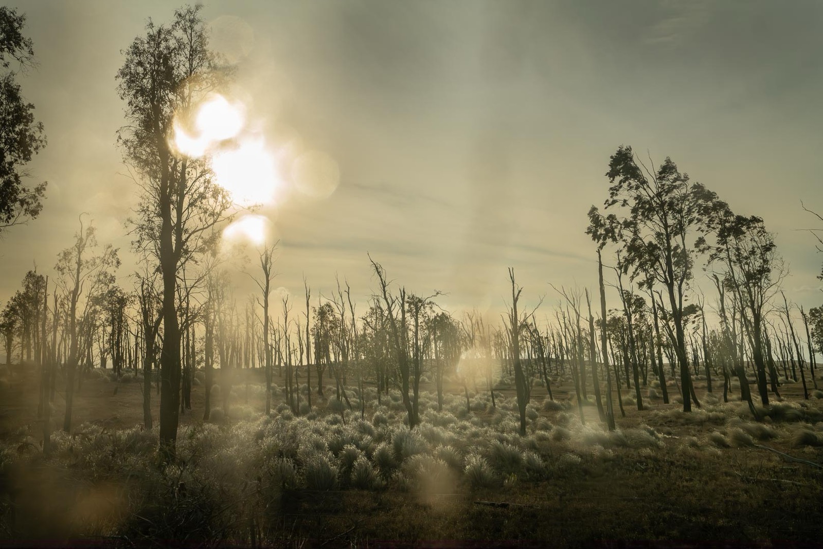 Todd Hido, 12127-1030731, 2022