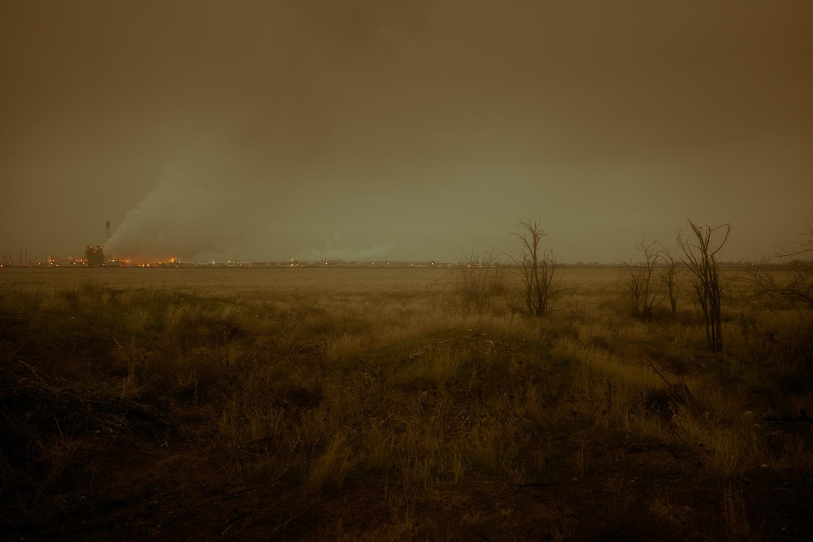 Todd Hido, 11602-7477, 2016