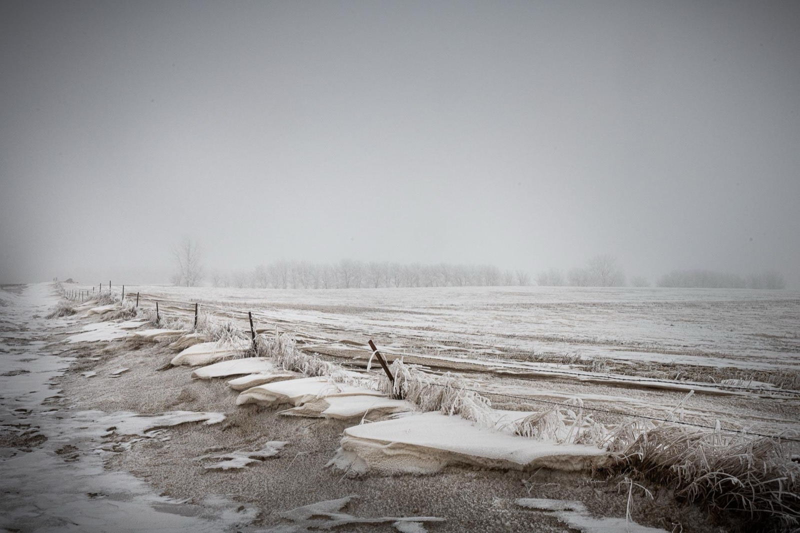 Todd Hido, 12006-4852, 2022