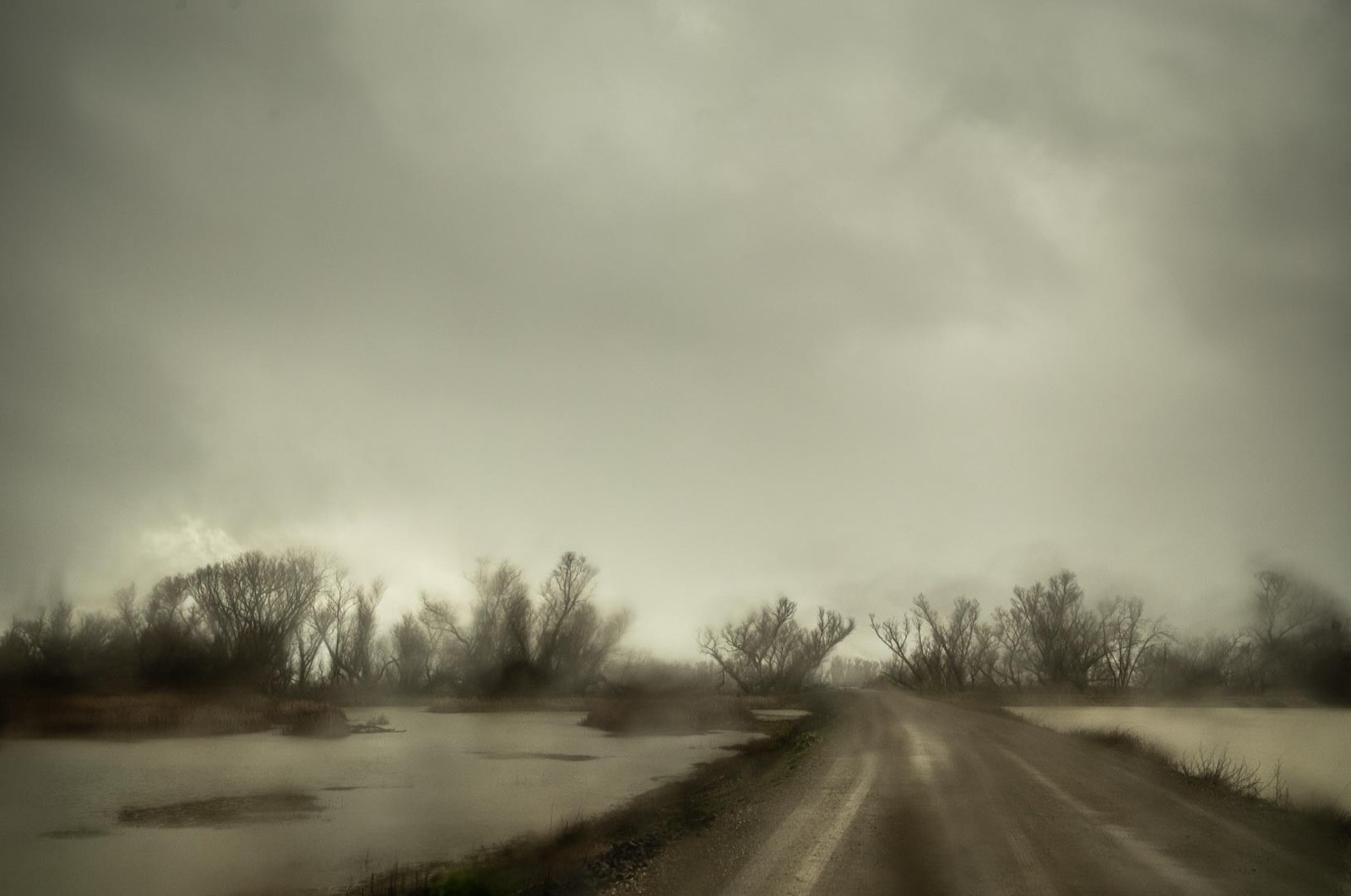 Todd Hido, 12160-0796, 2023
