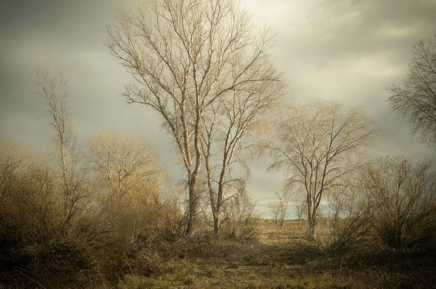 Todd Hido, 12161-1598, 2023