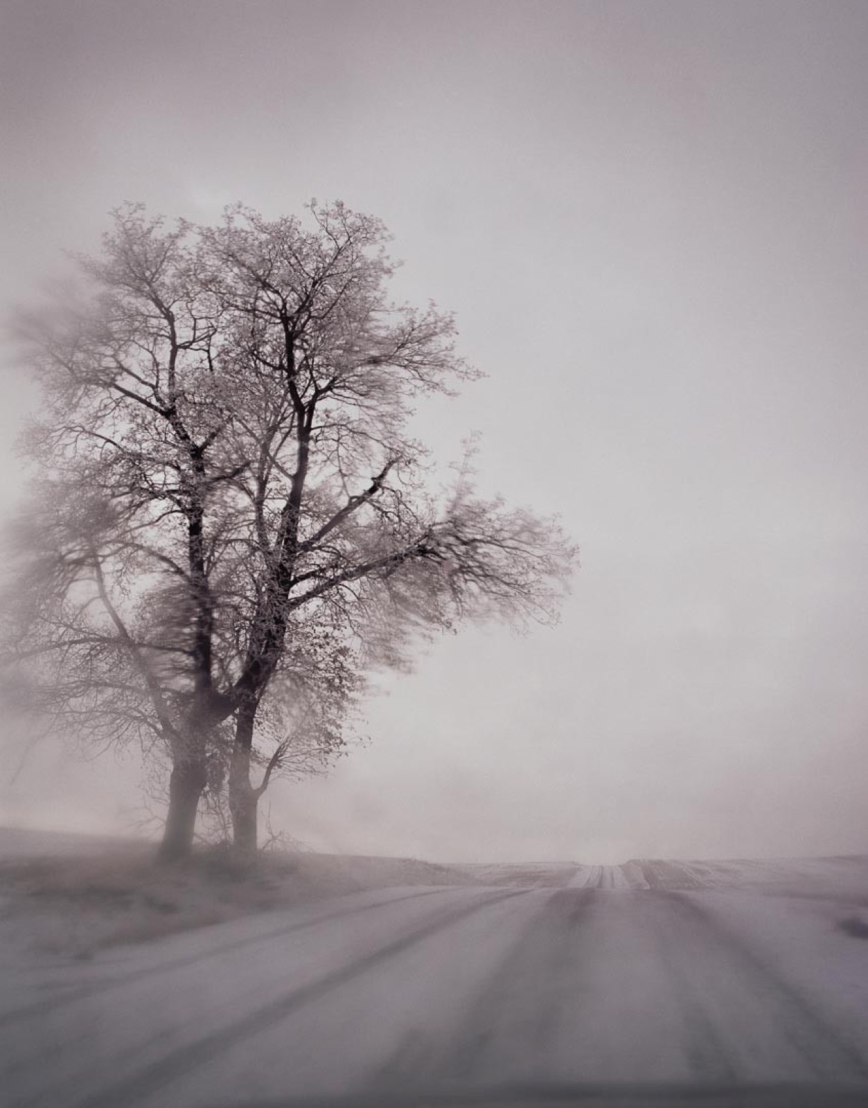 Todd Hido, 9216-b, 2010