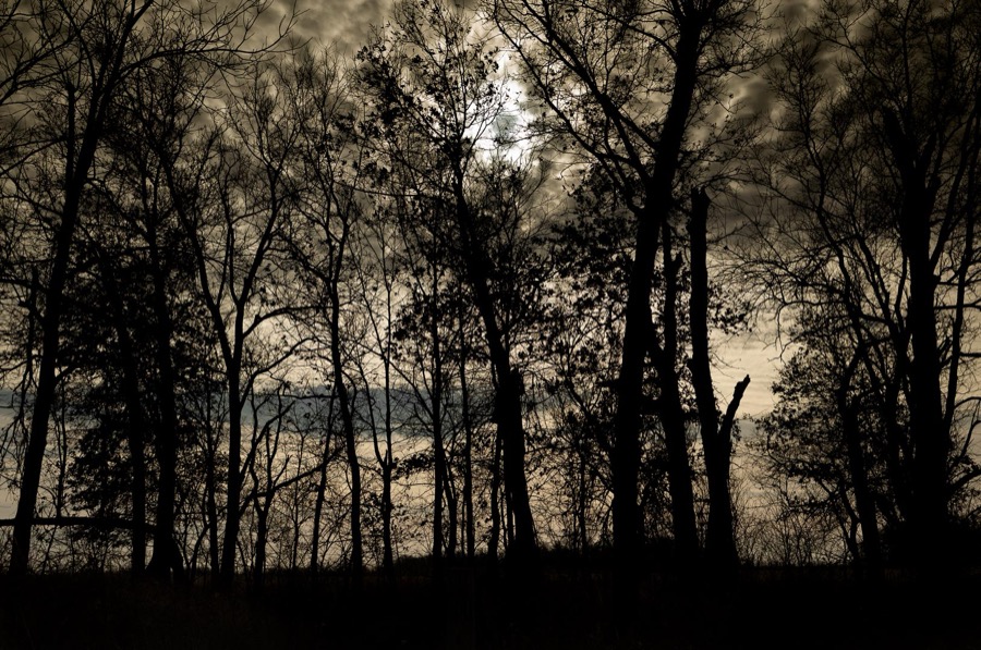 Todd Hido, 12077-0184, 2022