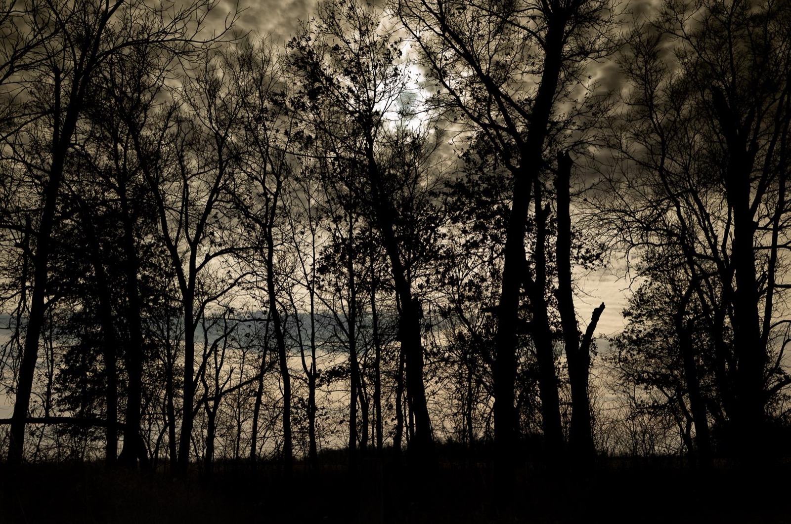 Todd Hido, 12077-0184, 2022