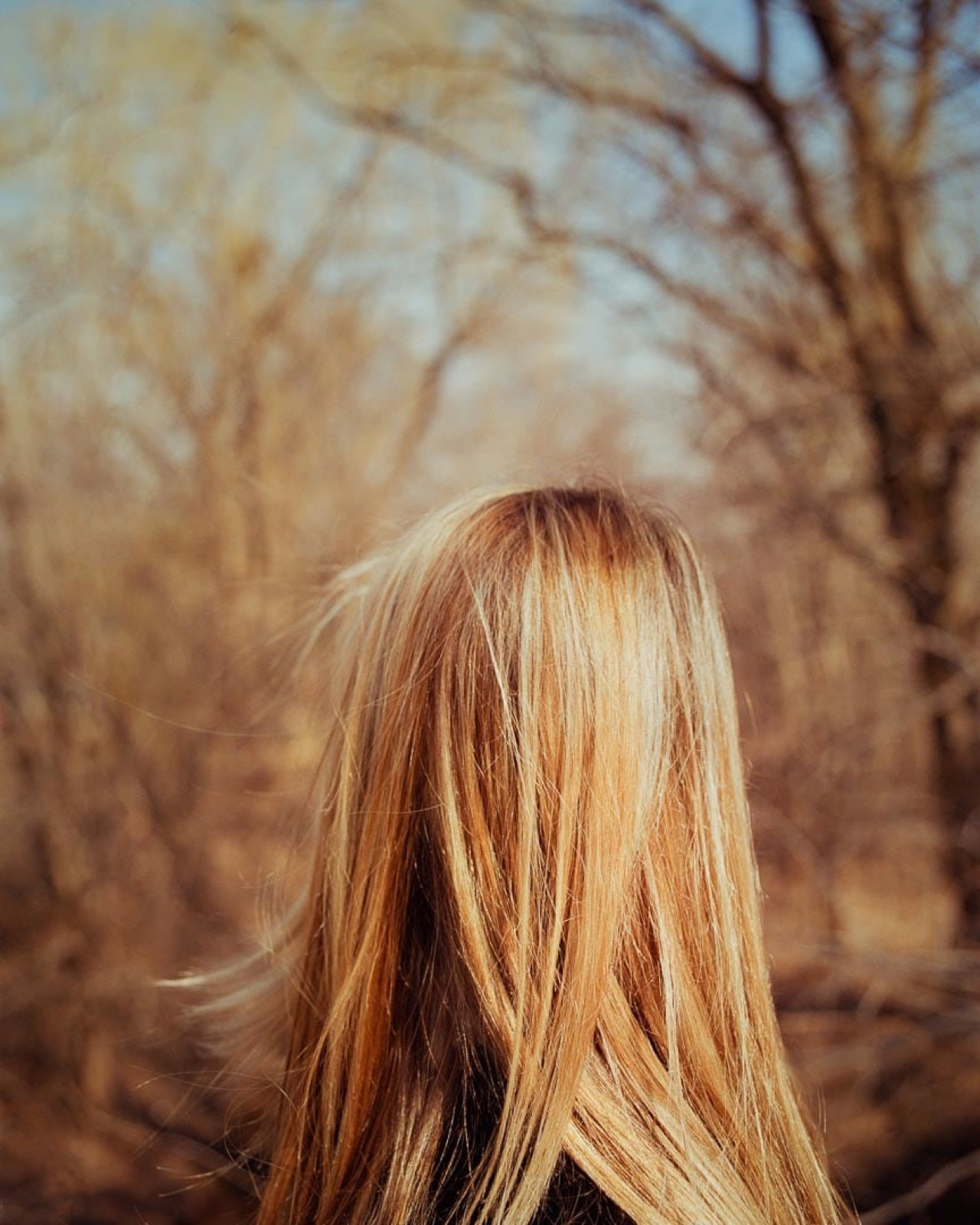 Todd Hido, 2653, 2000