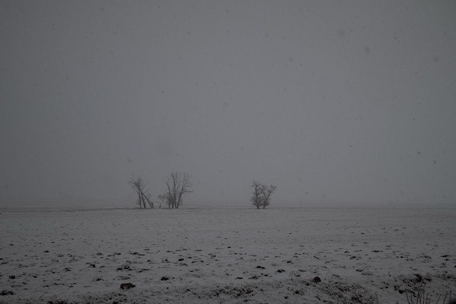 Todd Hido, 11946-9849, 2022
