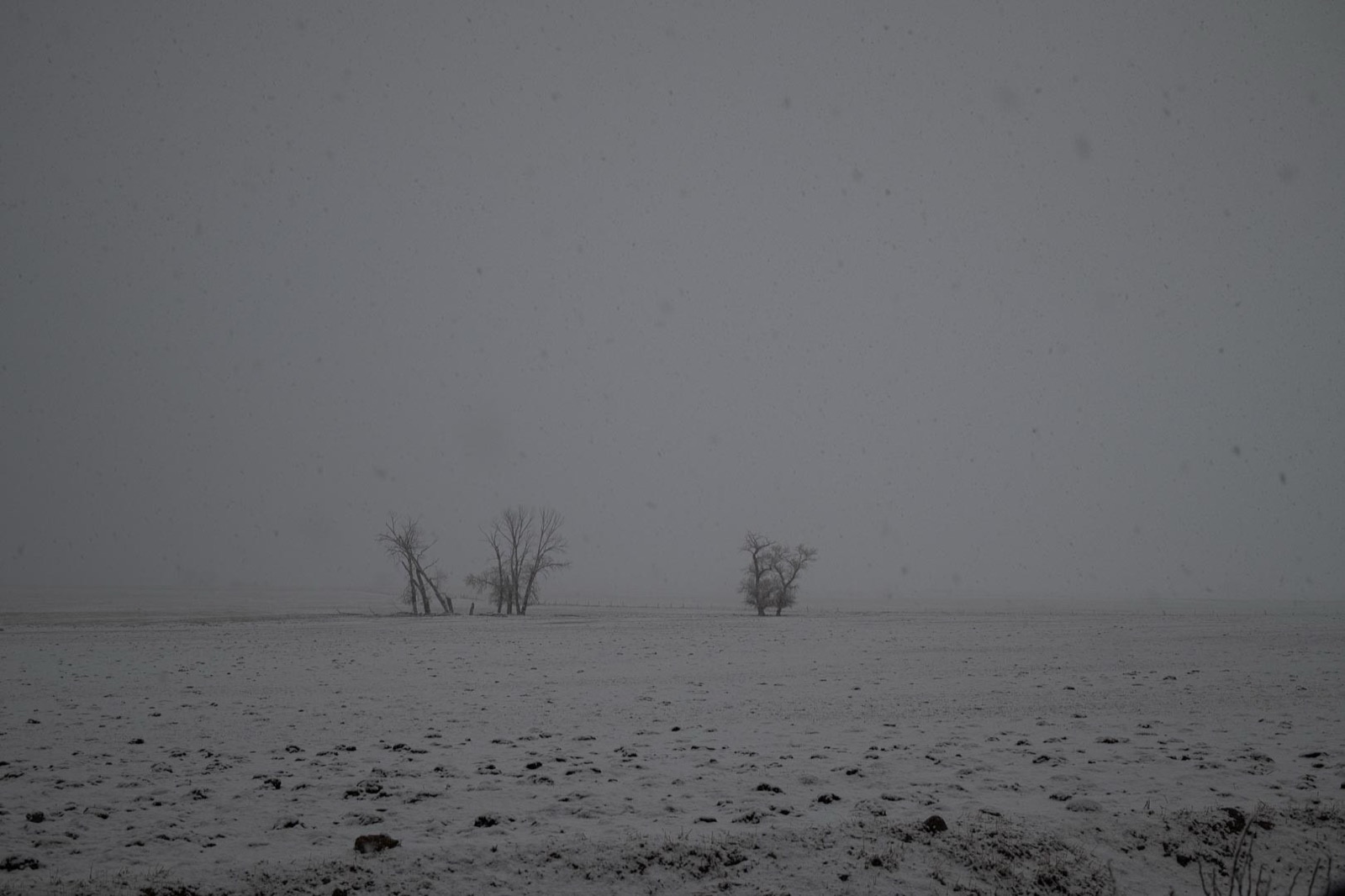 Todd Hido, 11946-9849, 2022