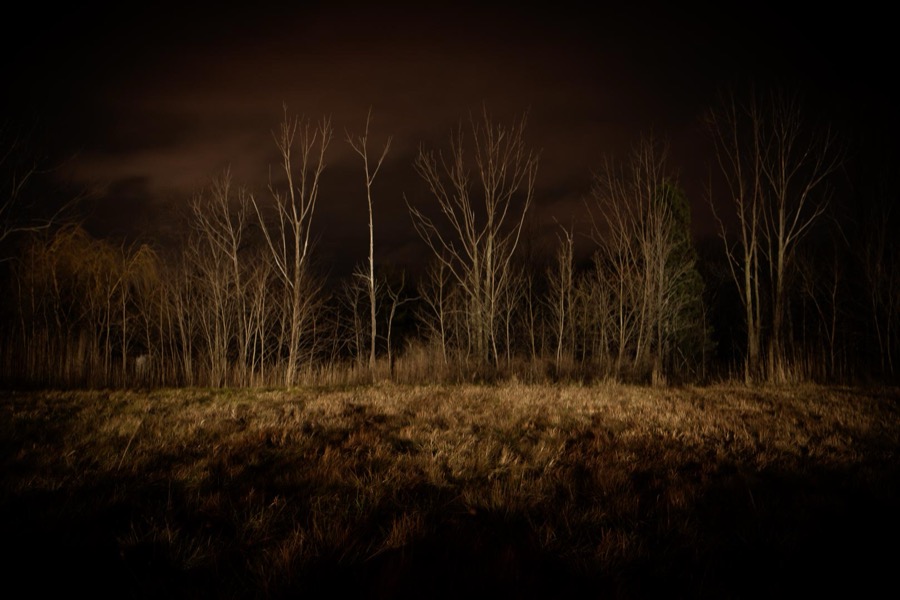 Todd Hido, 11666-2425, 2017