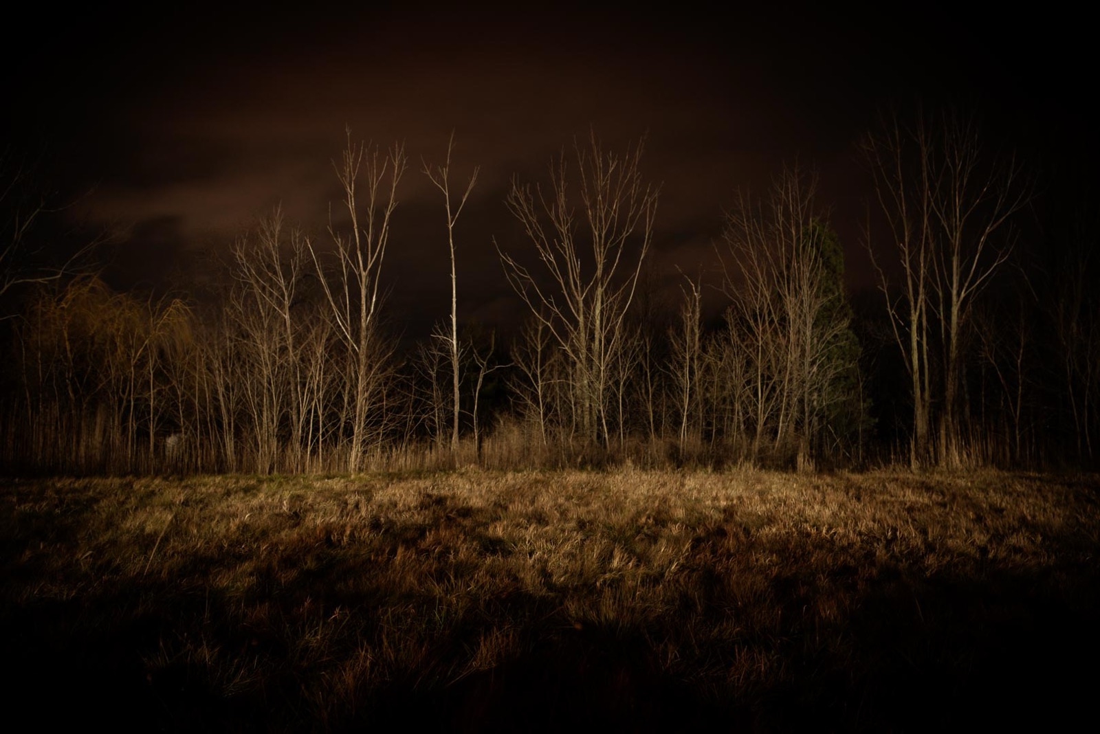 Todd Hido, 11666-2425, 2017