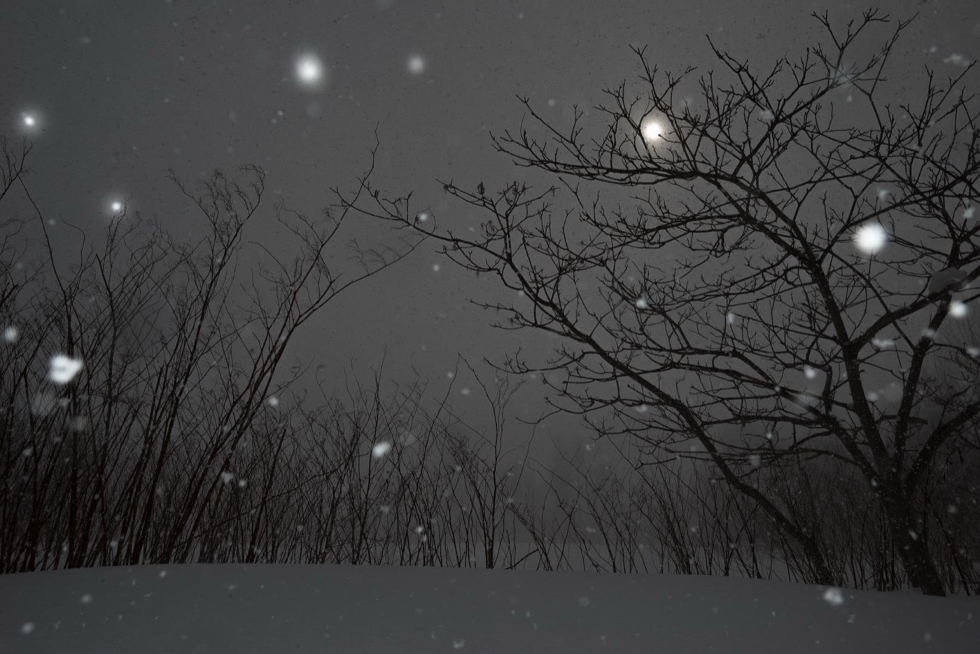 Todd Hido, 11682-5547, 2016