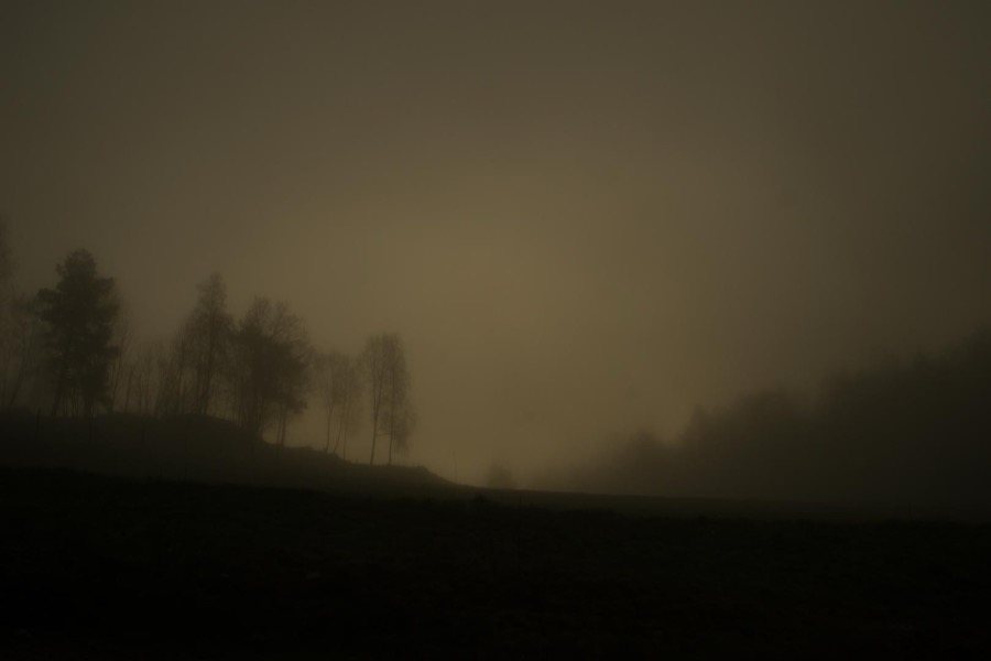 Todd Hido, 11798-4245, 2017