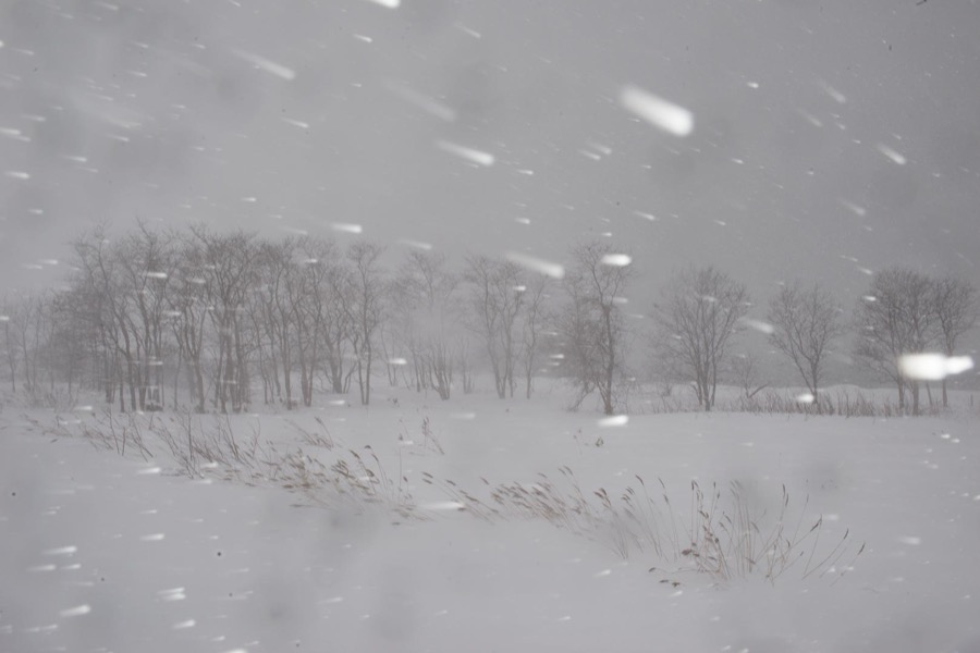 Todd Hido, 11683-6187, 2016