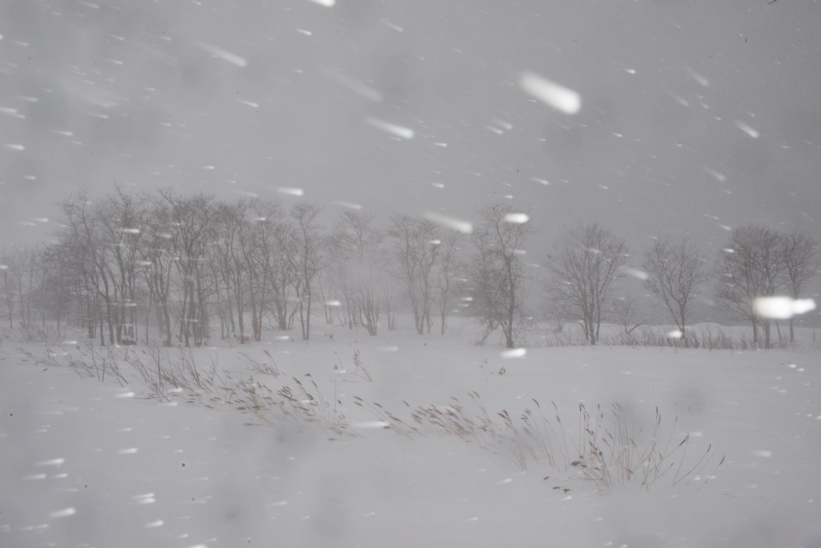 Todd Hido, 11683-6187, 2016