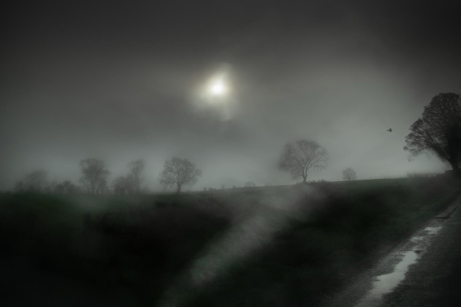 Todd Hido, 11927-6053, 2020