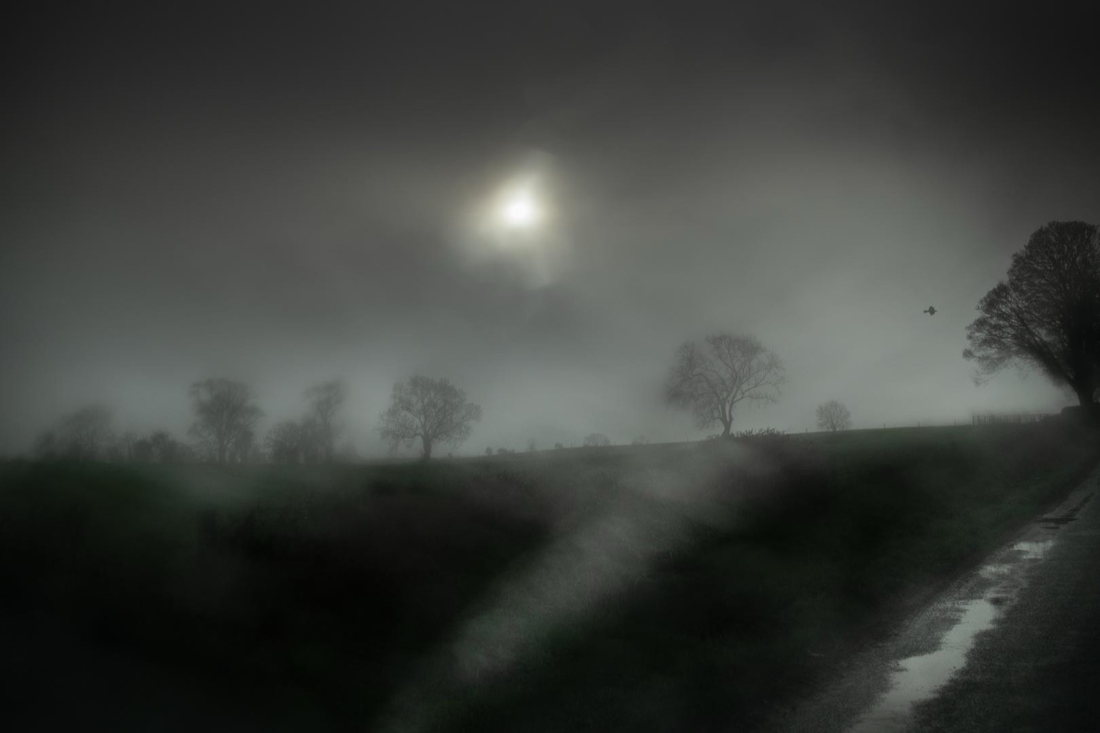 Todd Hido, 11927-6053, 2020