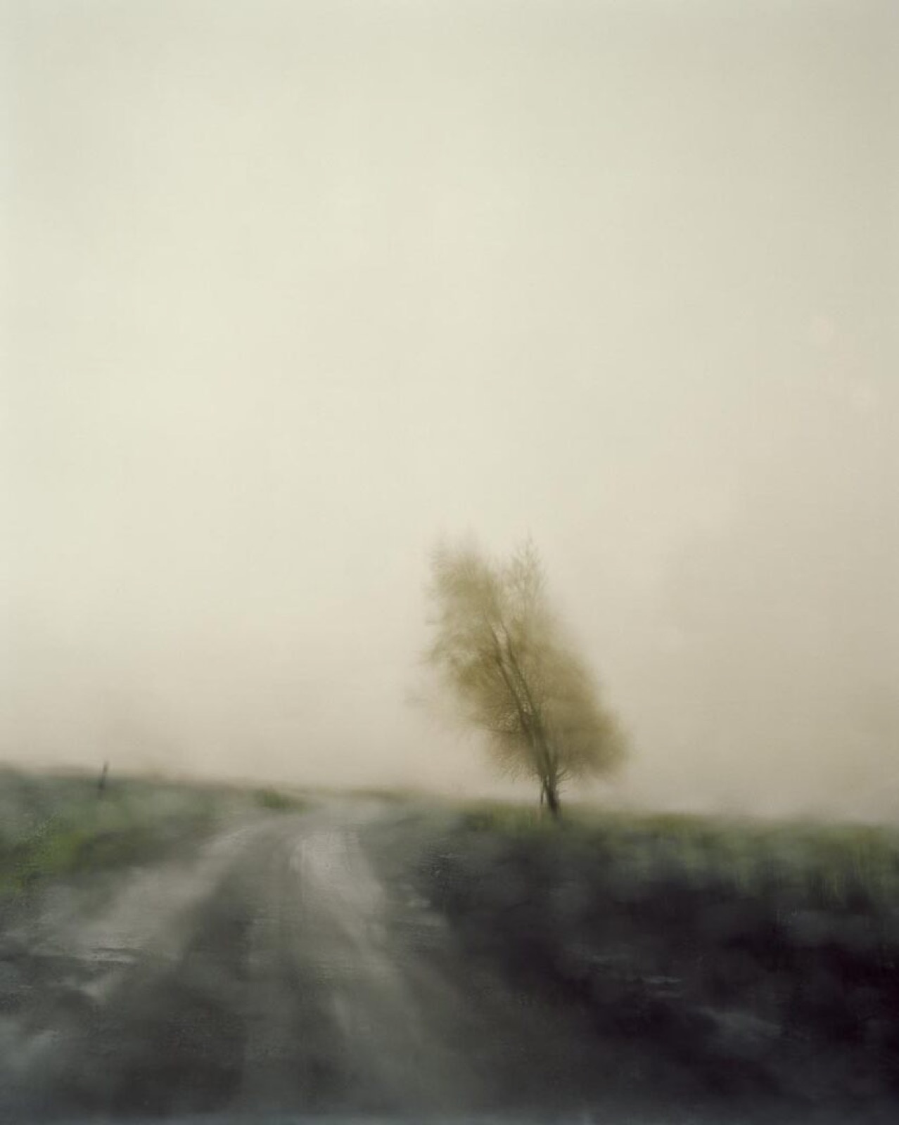 Todd Hido, 6405, 2007