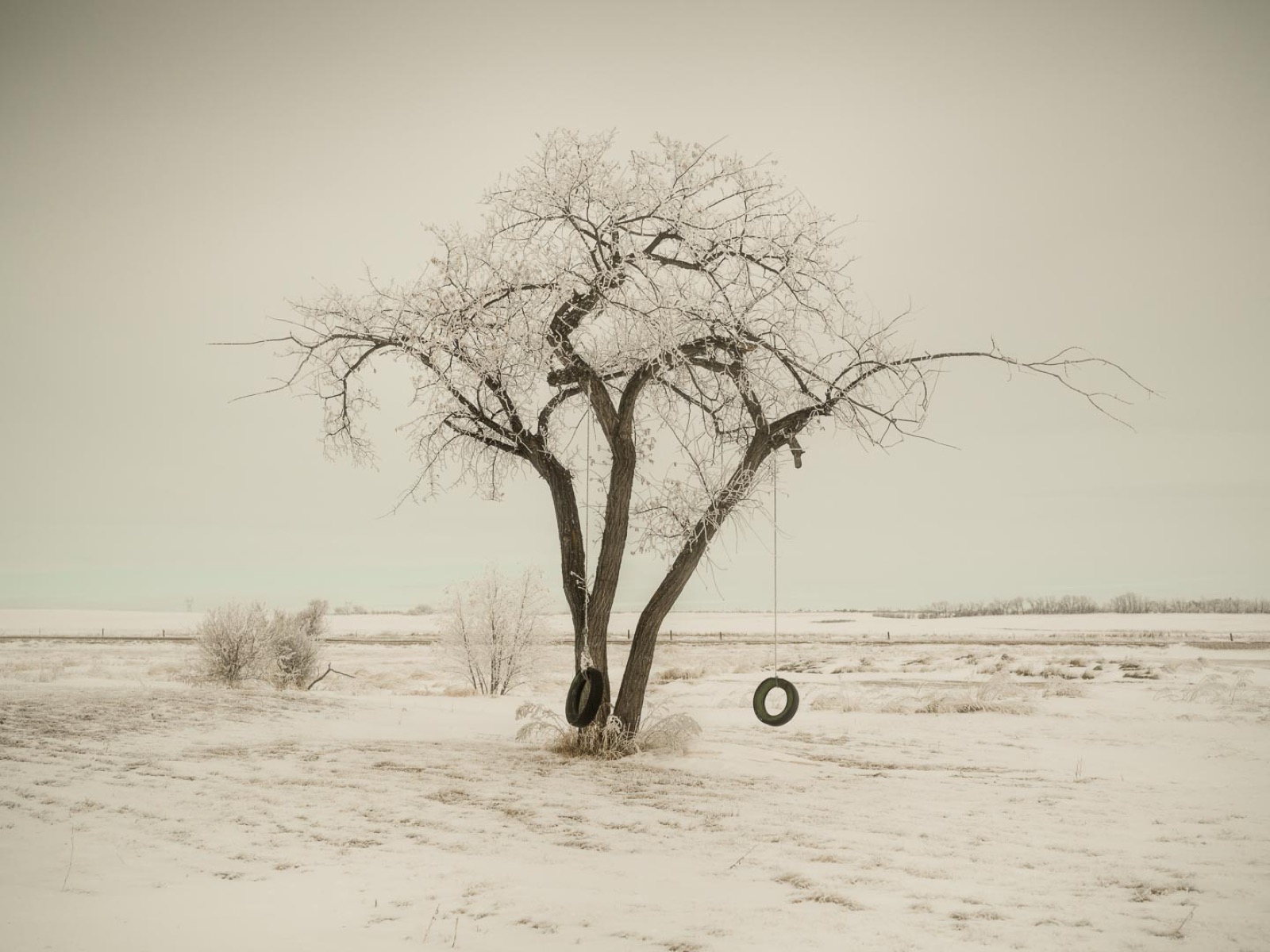 Todd Hido, 12008-7134, 2019