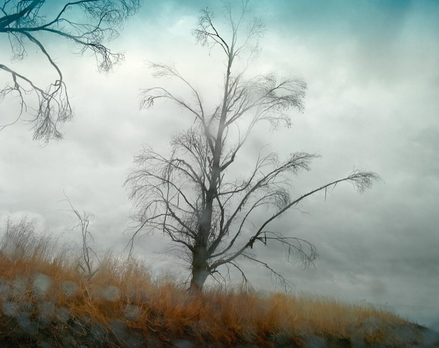 Todd Hido, 8427, 2009