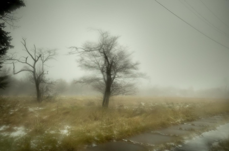 Todd Hido, 12080-1810-2, 2021