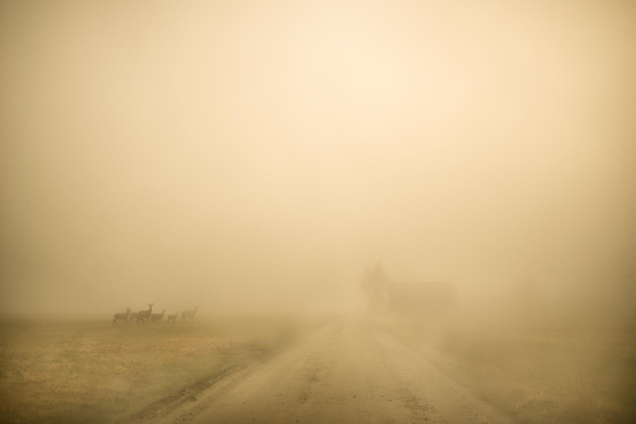 Todd Hido, 11798-3574, 2018