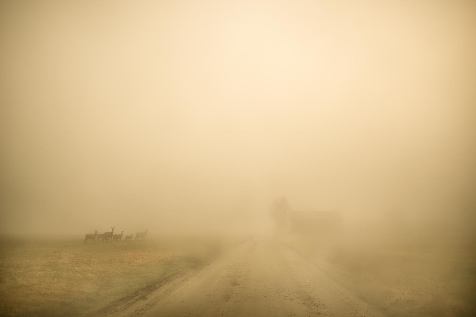 Todd Hido, 11798-3574, 2018