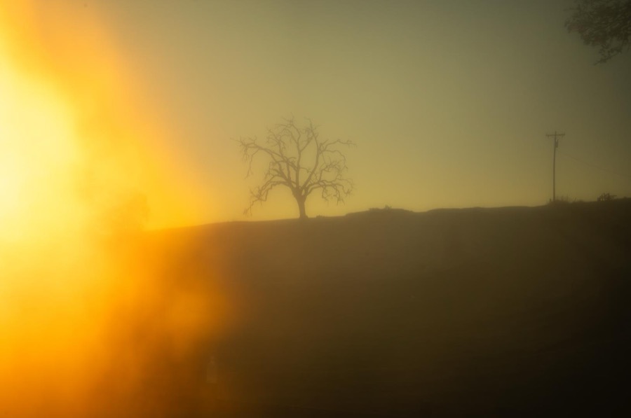 Todd Hido, 12076-9547, 2020