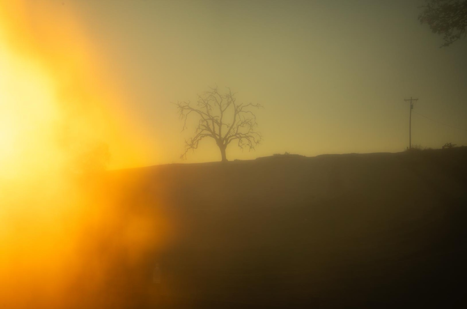Todd Hido, 12076-9547, 2020