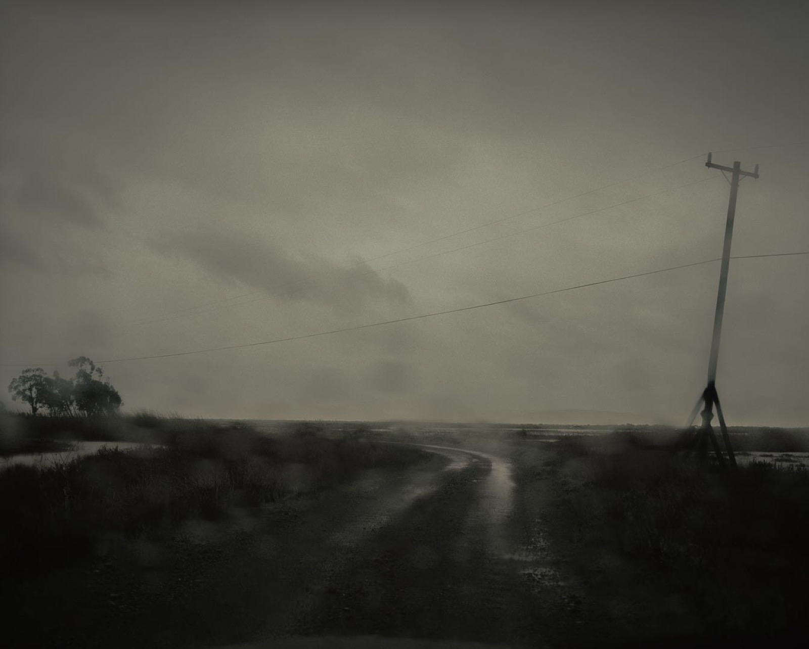 Todd Hido, 3186, 2003