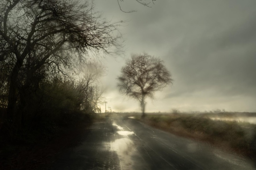Todd Hido, 12159-0146, 2023