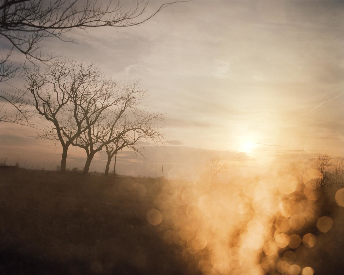 Todd Hido, 3114-b, 2002