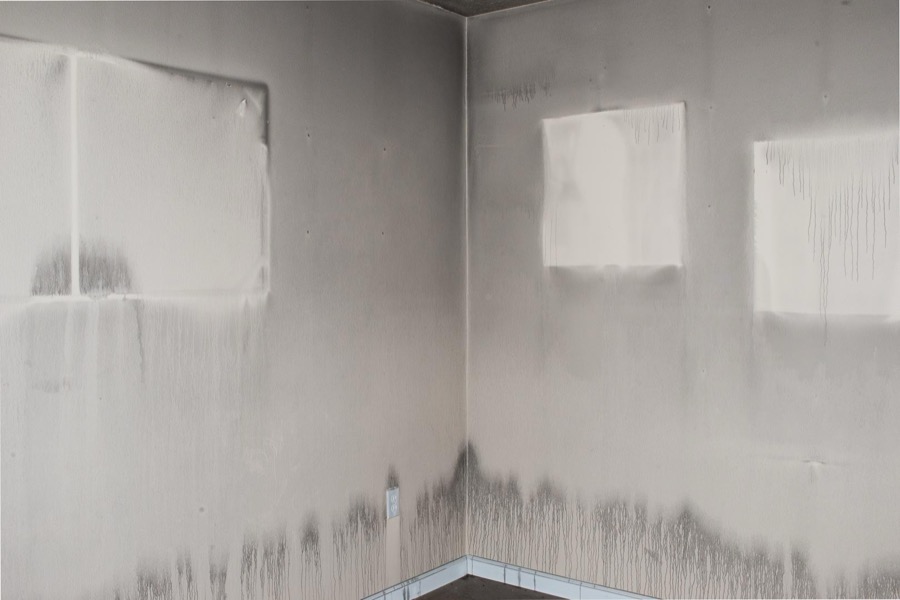 Todd Hido, 11600-6238, 2016