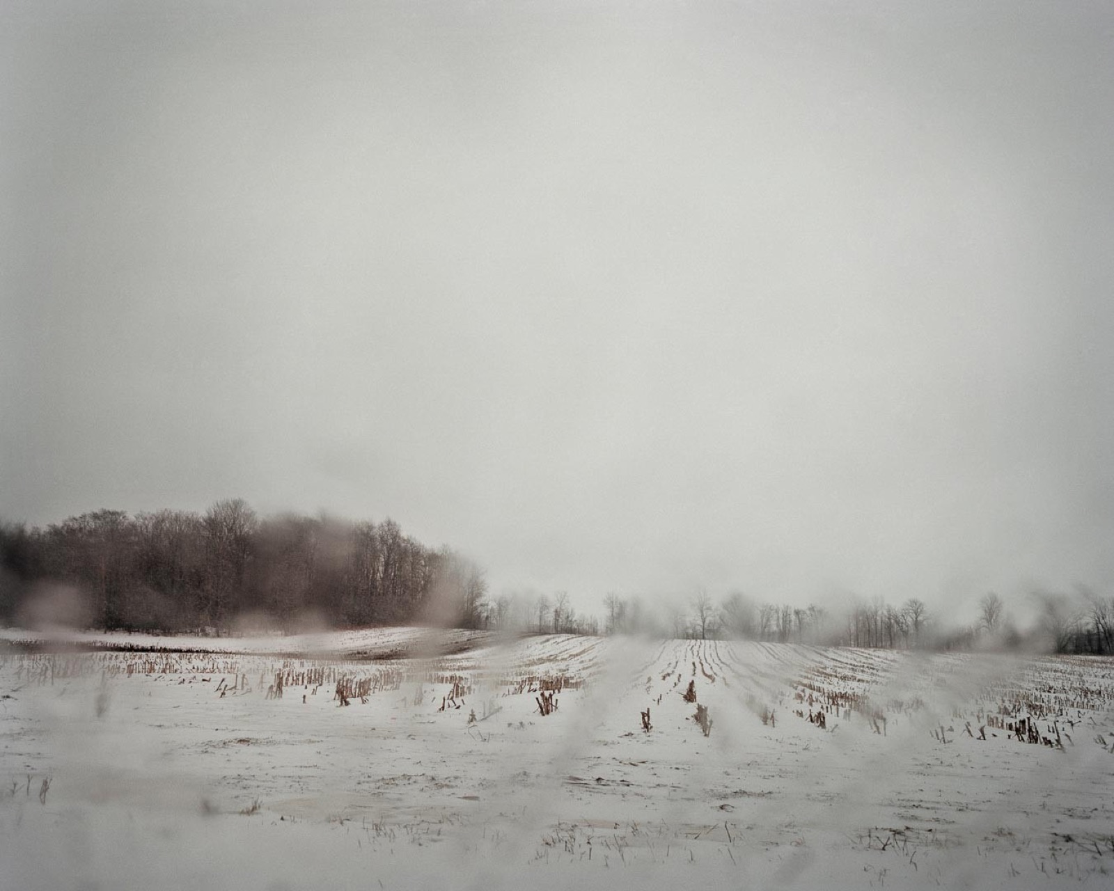 Todd Hido, 9263, 2010