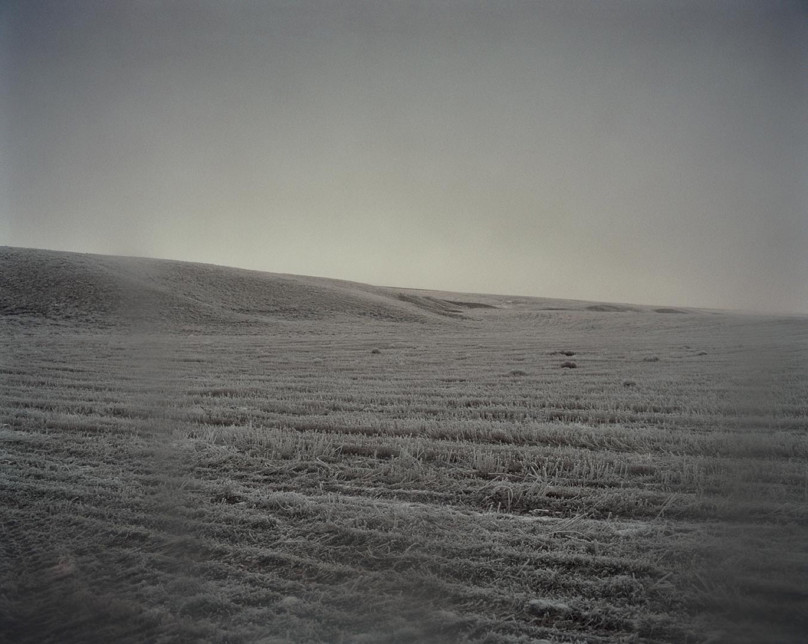 Todd Hido, 5105, 2006